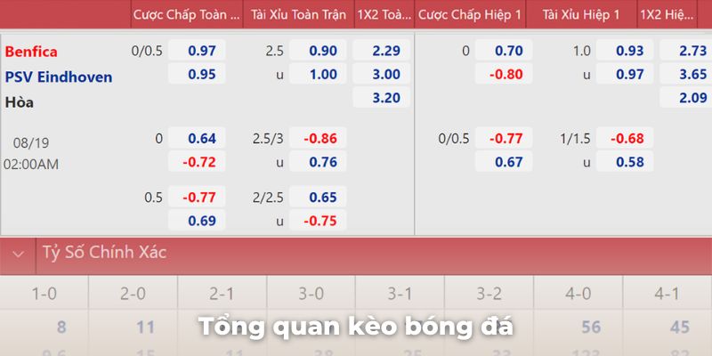 Tổng quan kèo cá độ bóng đá là gì mới nhất hiện nay