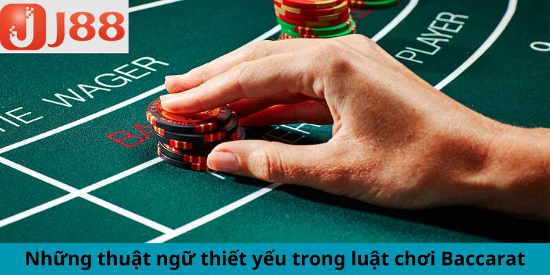 Những thuật ngữ thiết yếu trong luật chơi Baccarat